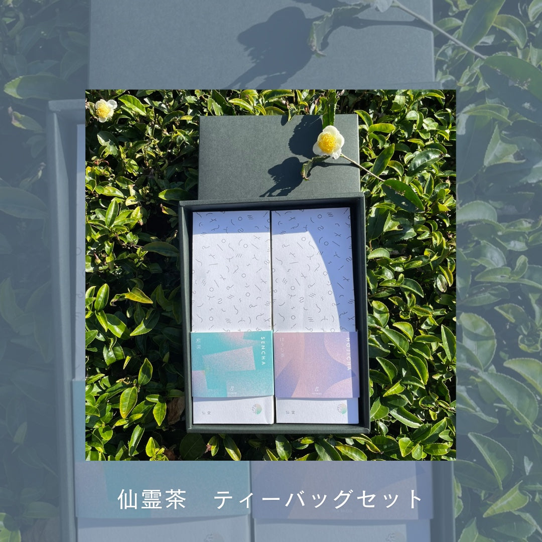 お茶2種セット(ティーバッグ)