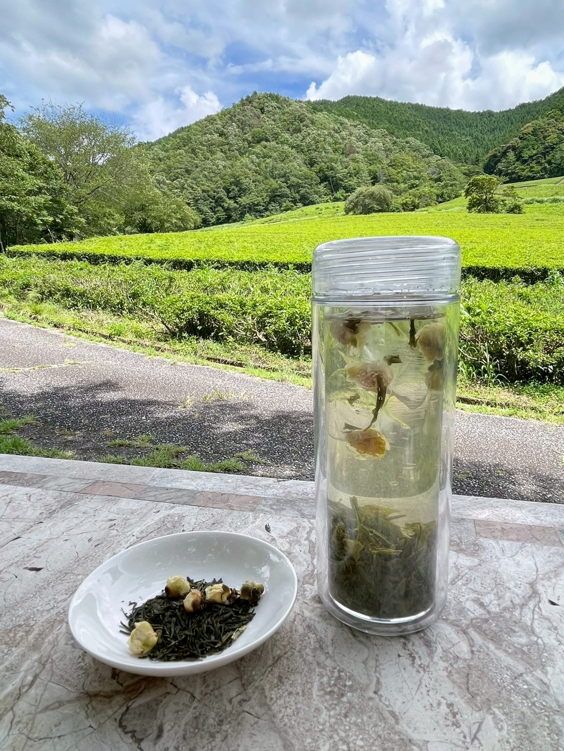 煎茶・茶の花