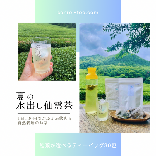 夏の水出し仙霊茶【期間限定・送料無料】
