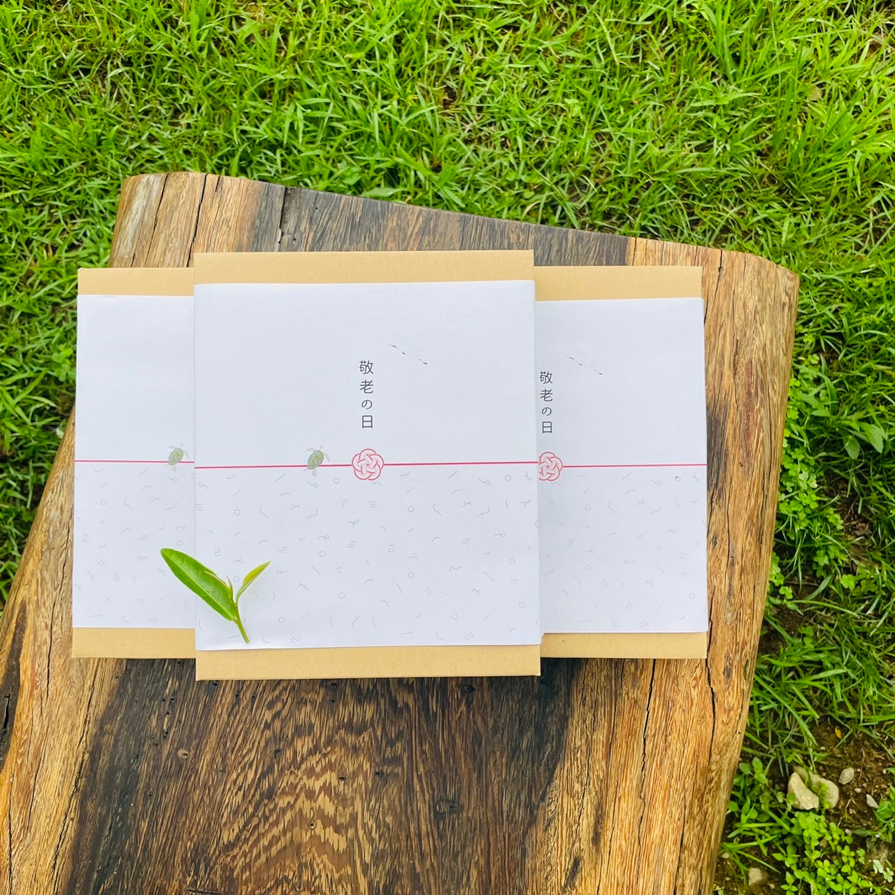 Respect for the Aged Day - Senrei Tea and Japanese Sweets Set - [Order by the 14th, shipped on the 15th]