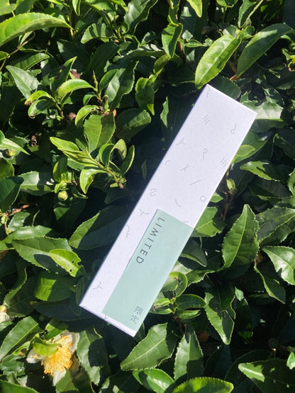 紅茶【2025手摘み】